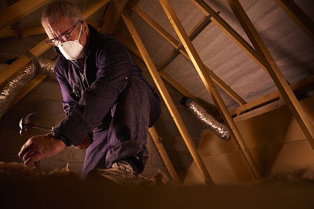 Best Insulation Maintenance and Repair in Hawley, MN